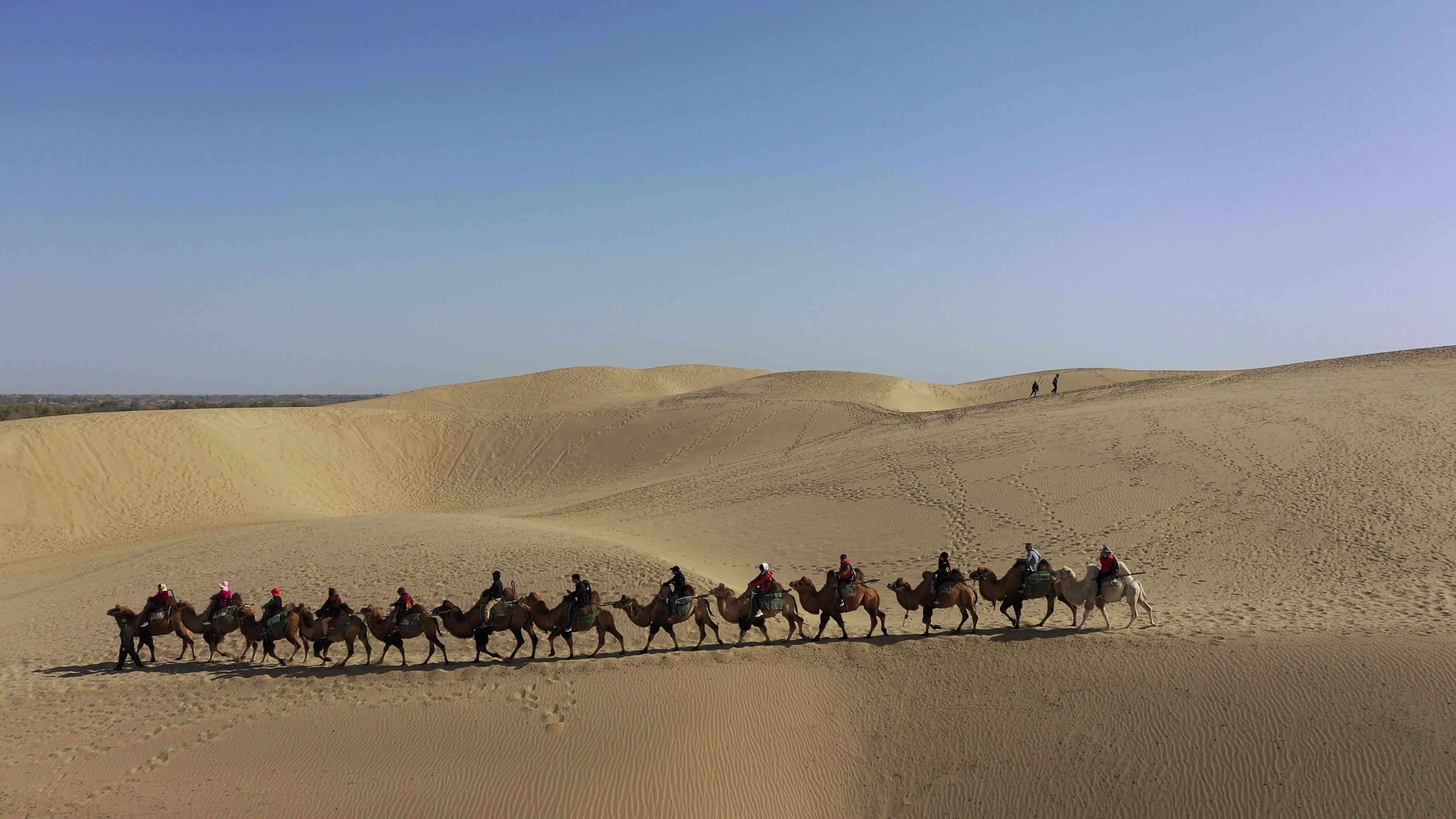 六月底到新疆旅游多少錢_六月底到新疆旅游多少錢啊