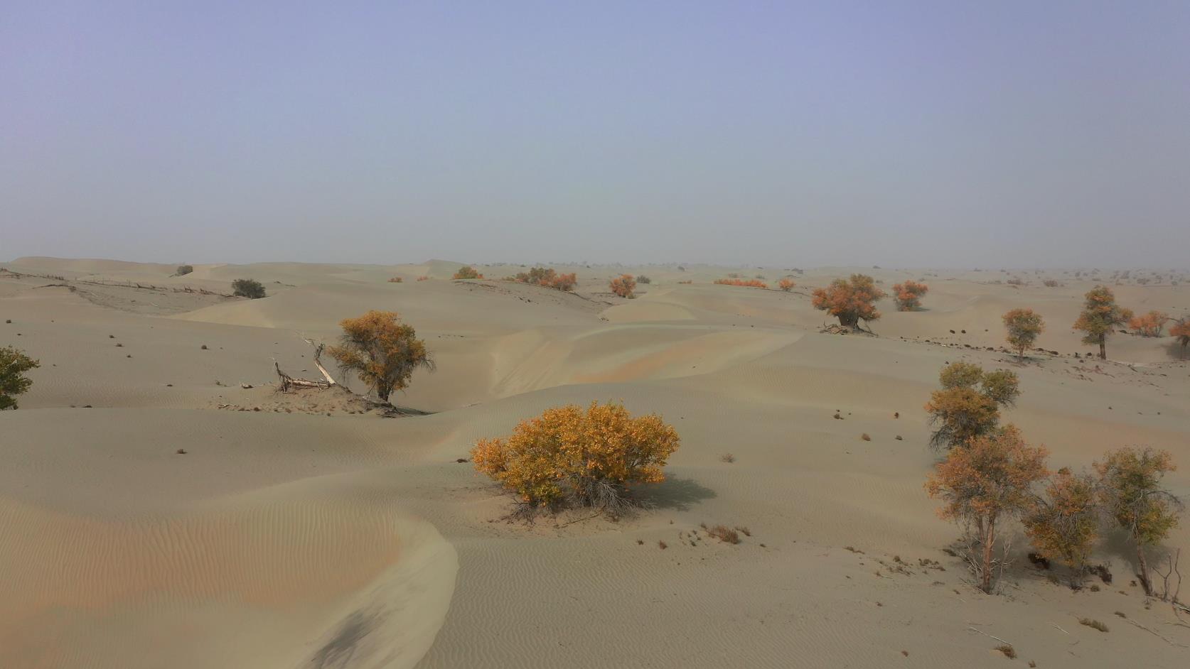 春節新疆南疆旅游團價格_新疆南彊旅游