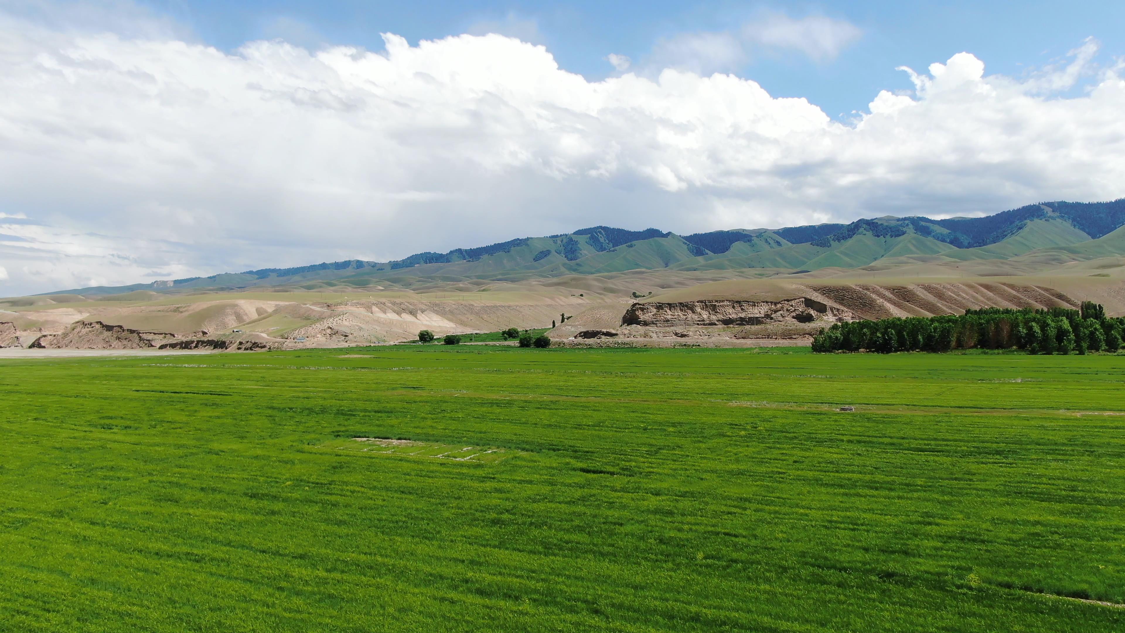 新疆旅游跟團二十日日游多少錢