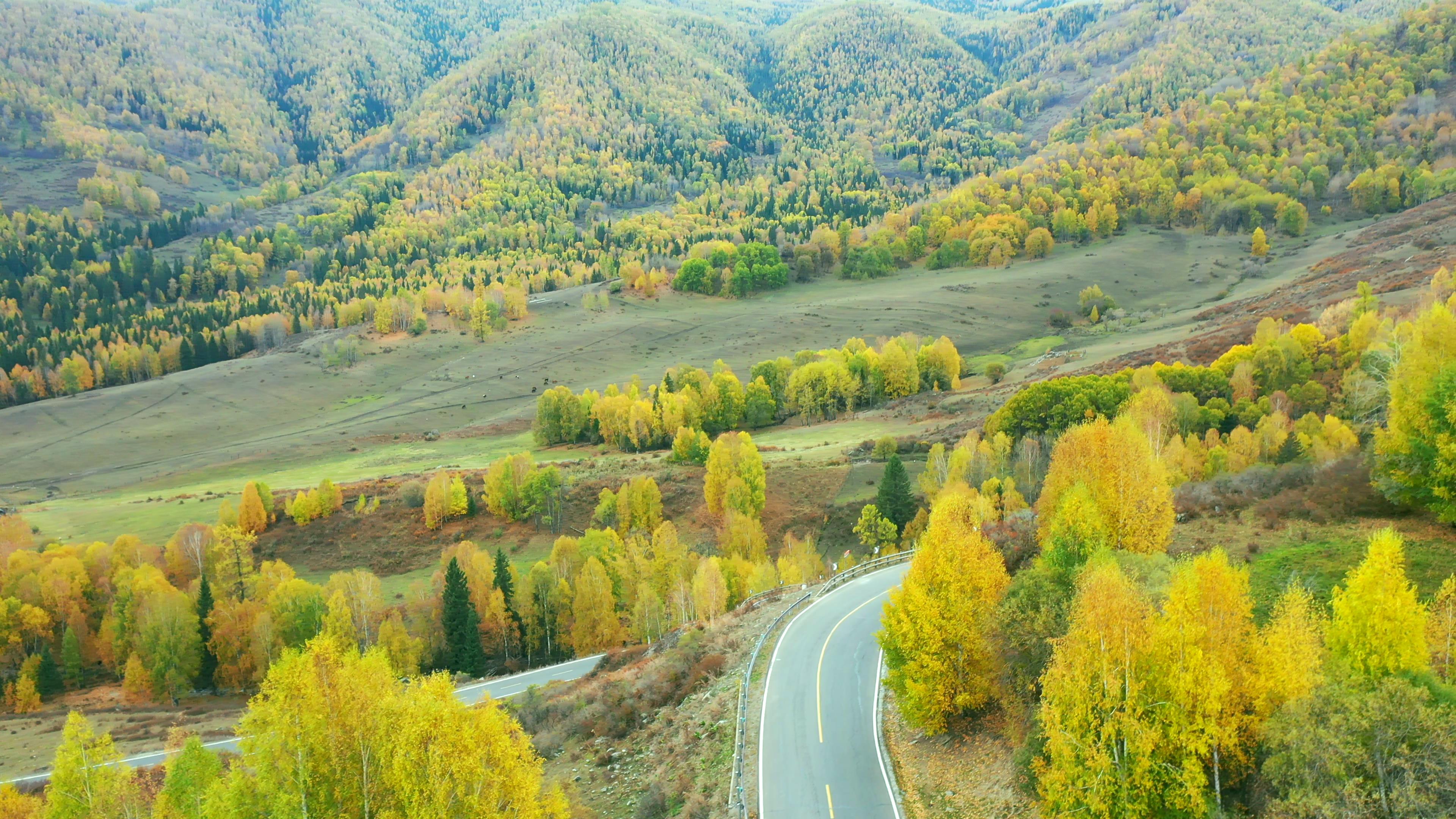 新疆旅游跟團十六日游多少錢