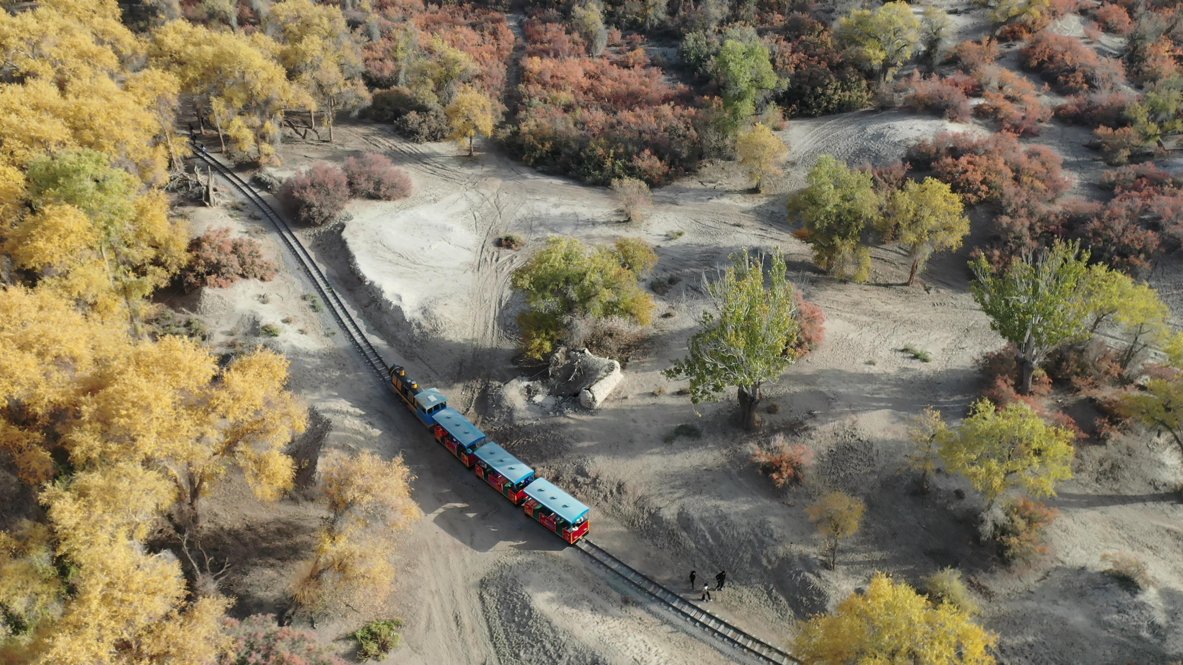 新疆旅游不包車可以嗎_新疆旅游不包車可以嗎現在