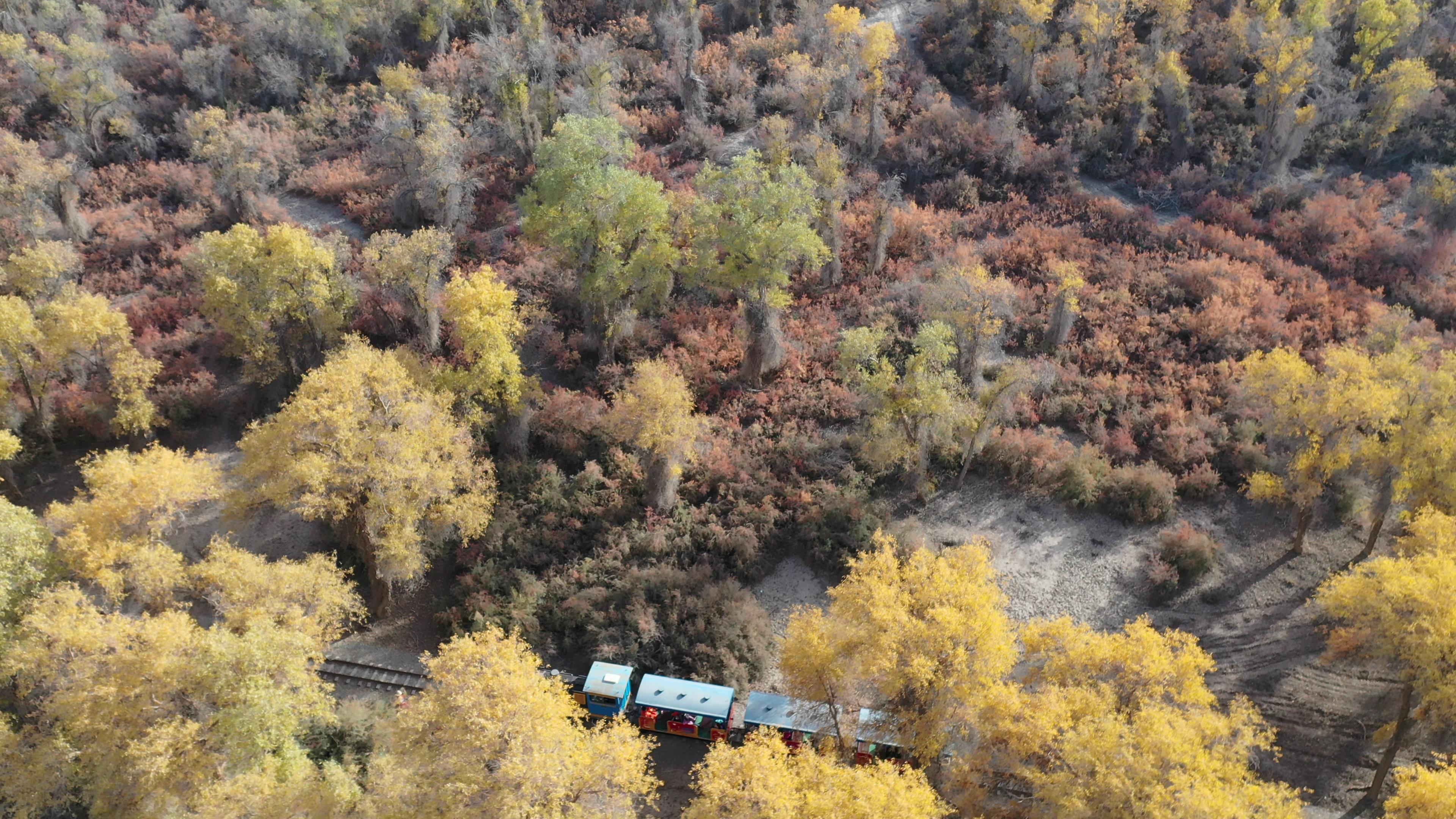 新疆南疆包車旅游_新疆包車旅游攻略