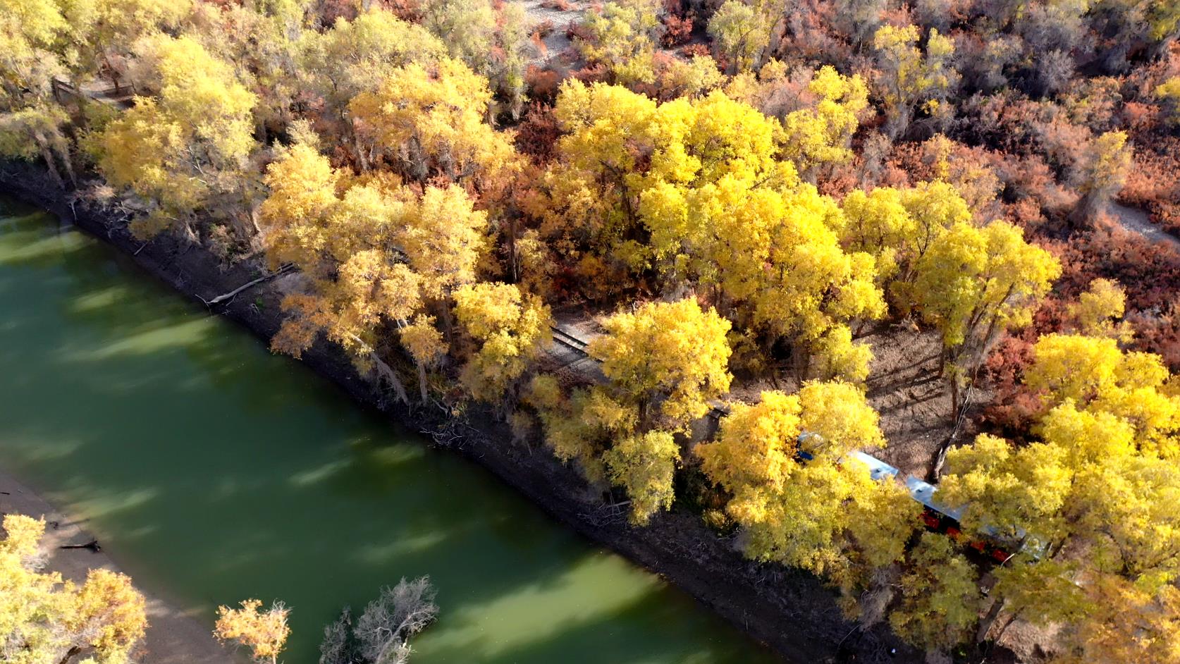 11月去新疆旅游團價格_11月去新疆旅游團價格多少