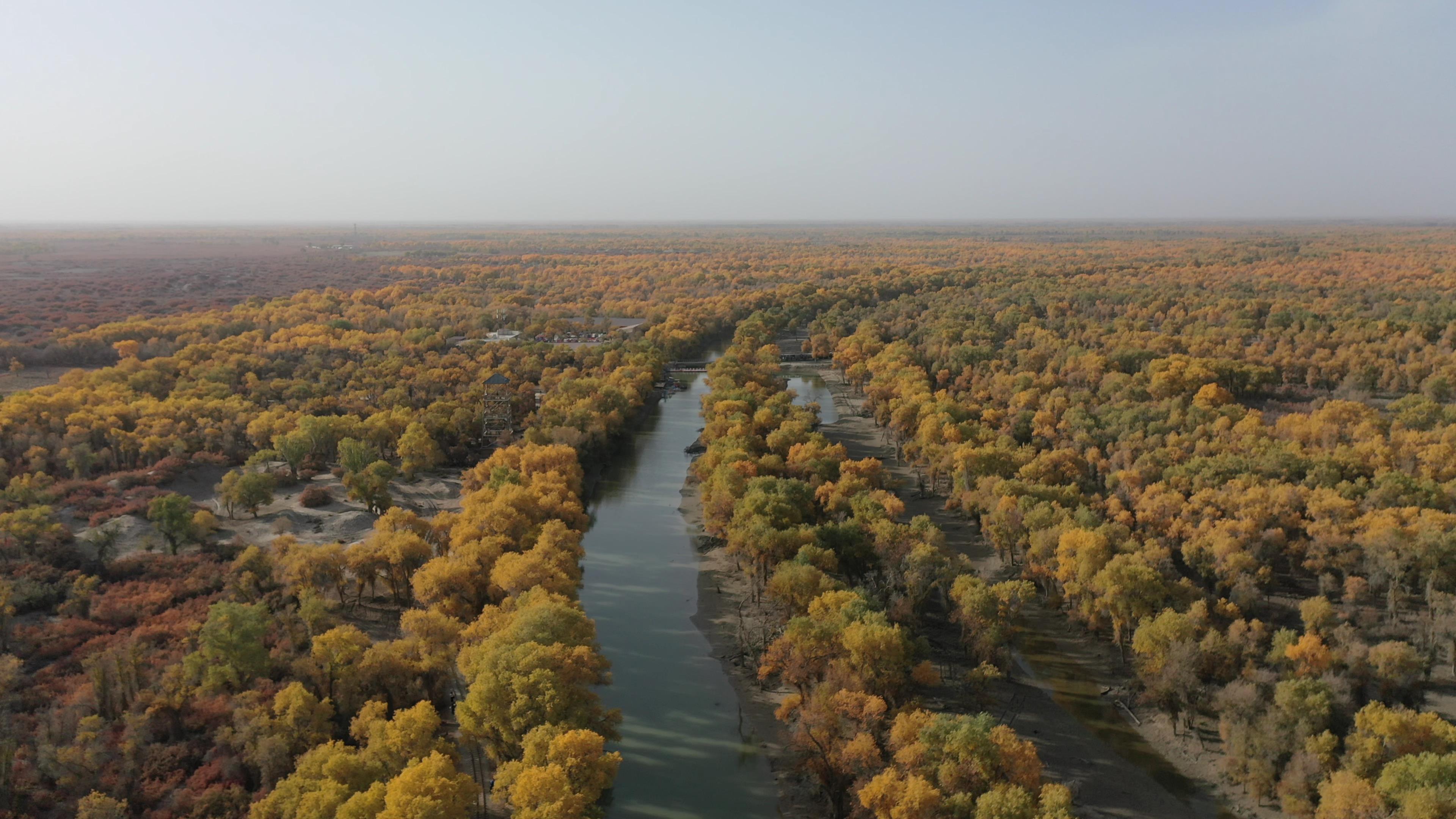 六月新疆跟團旅游_六月新疆跟團旅游多少錢