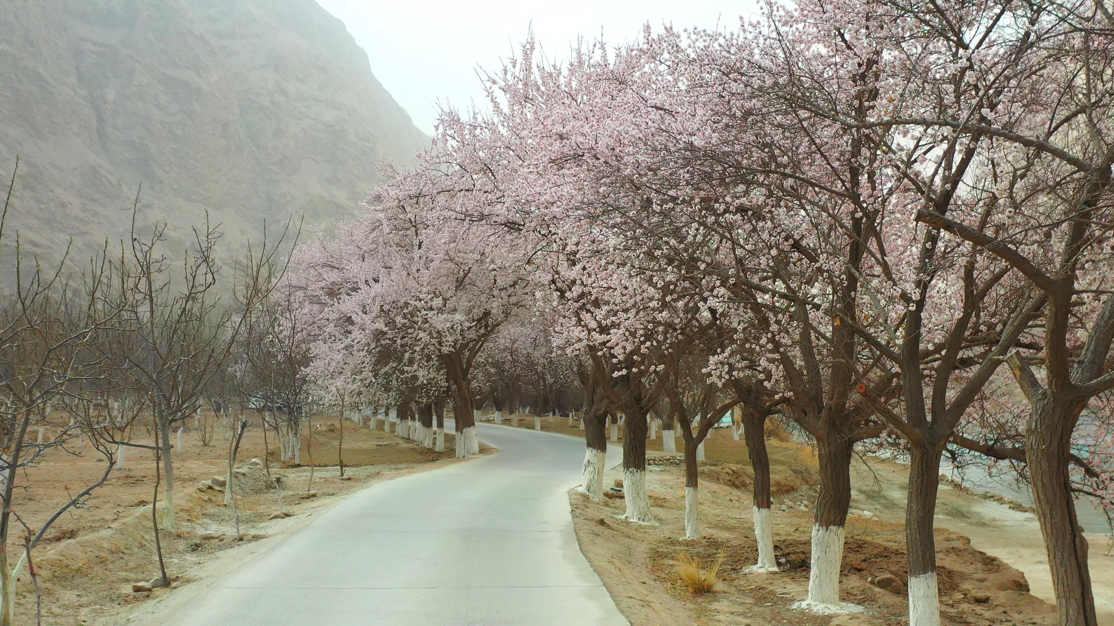 八月份新疆旅游團報價_8月新疆旅游