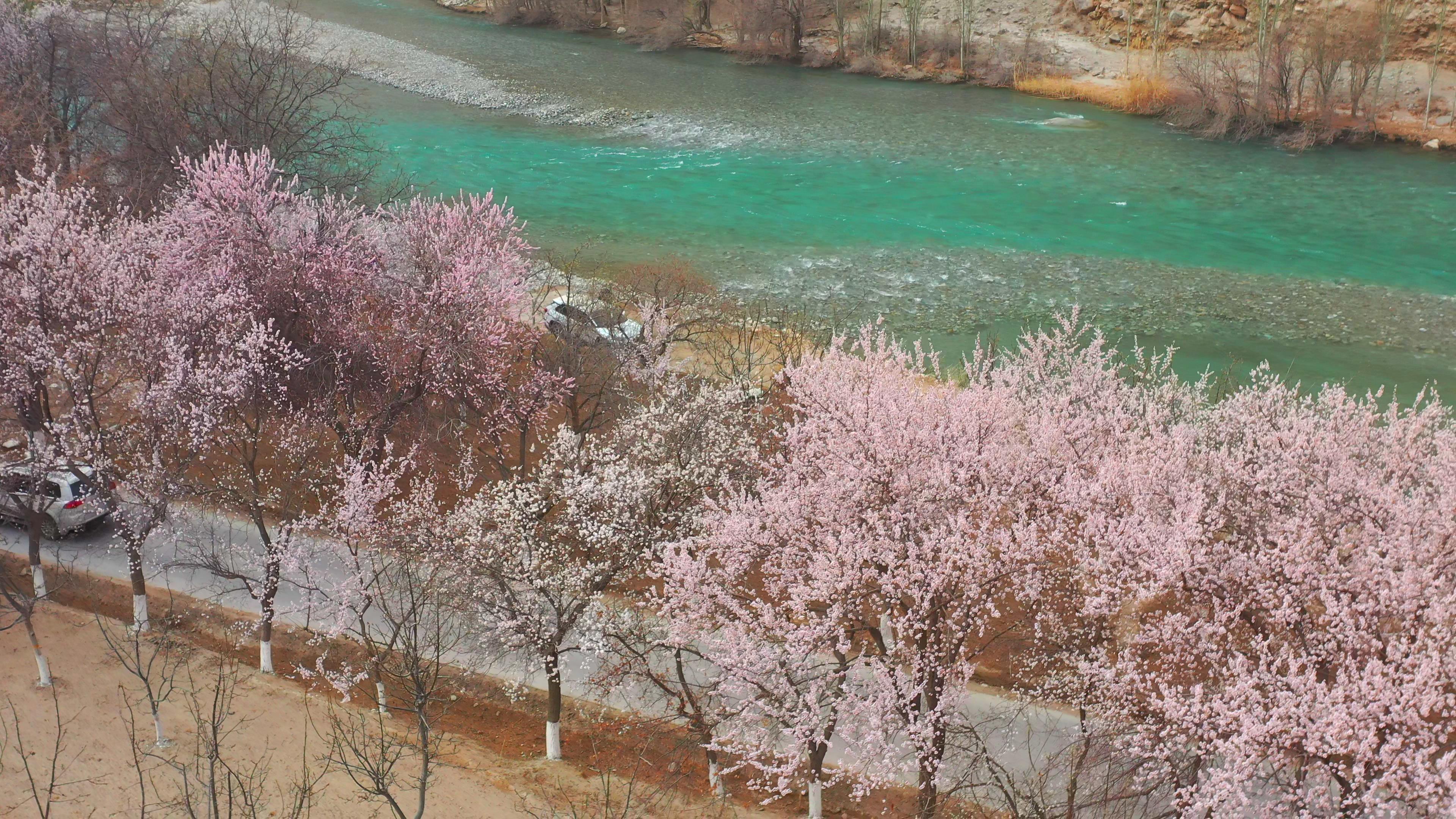 六月份新疆北疆跟團旅游多少錢