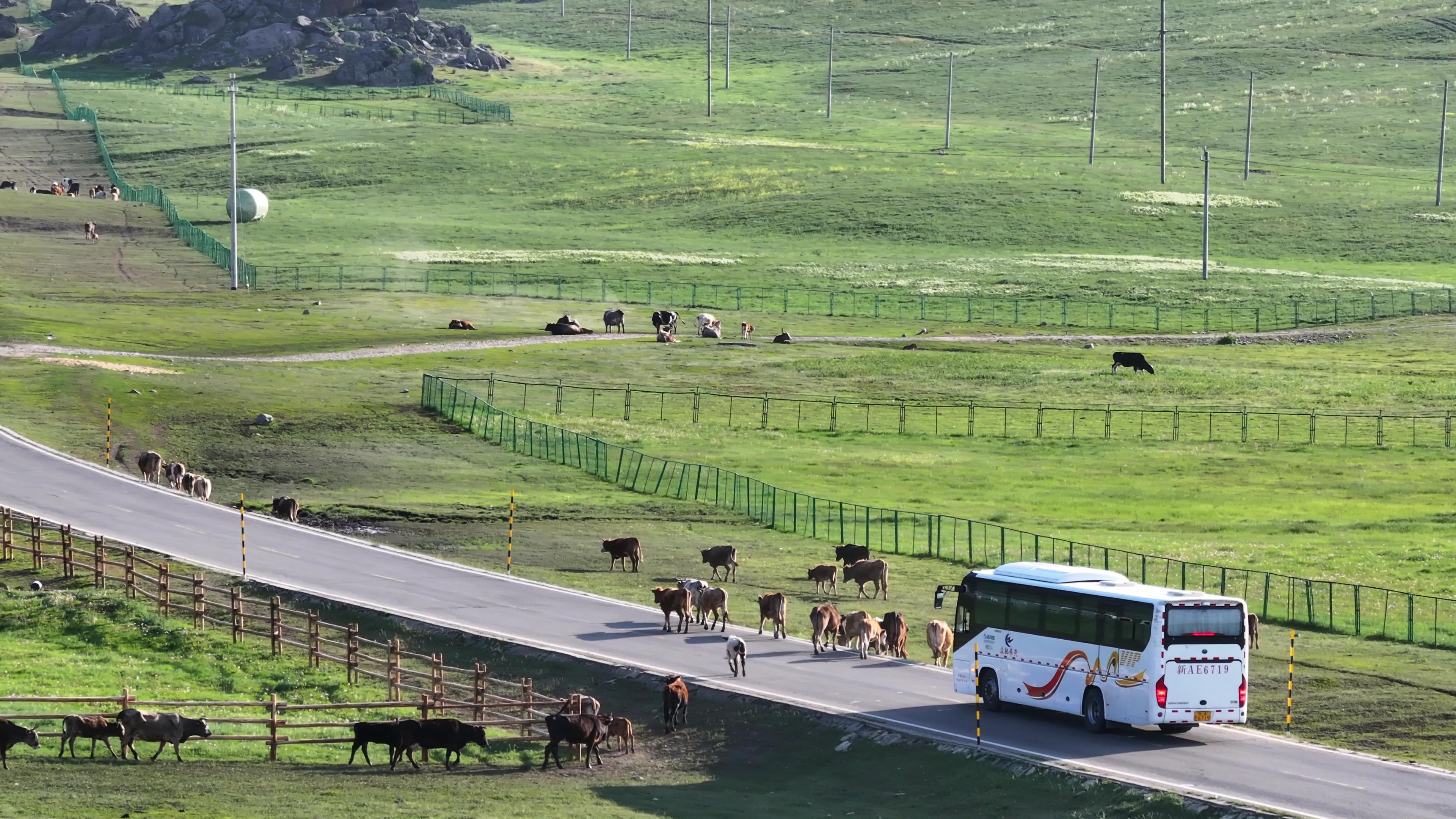 新東方快車新疆旅游專列價格哪里買