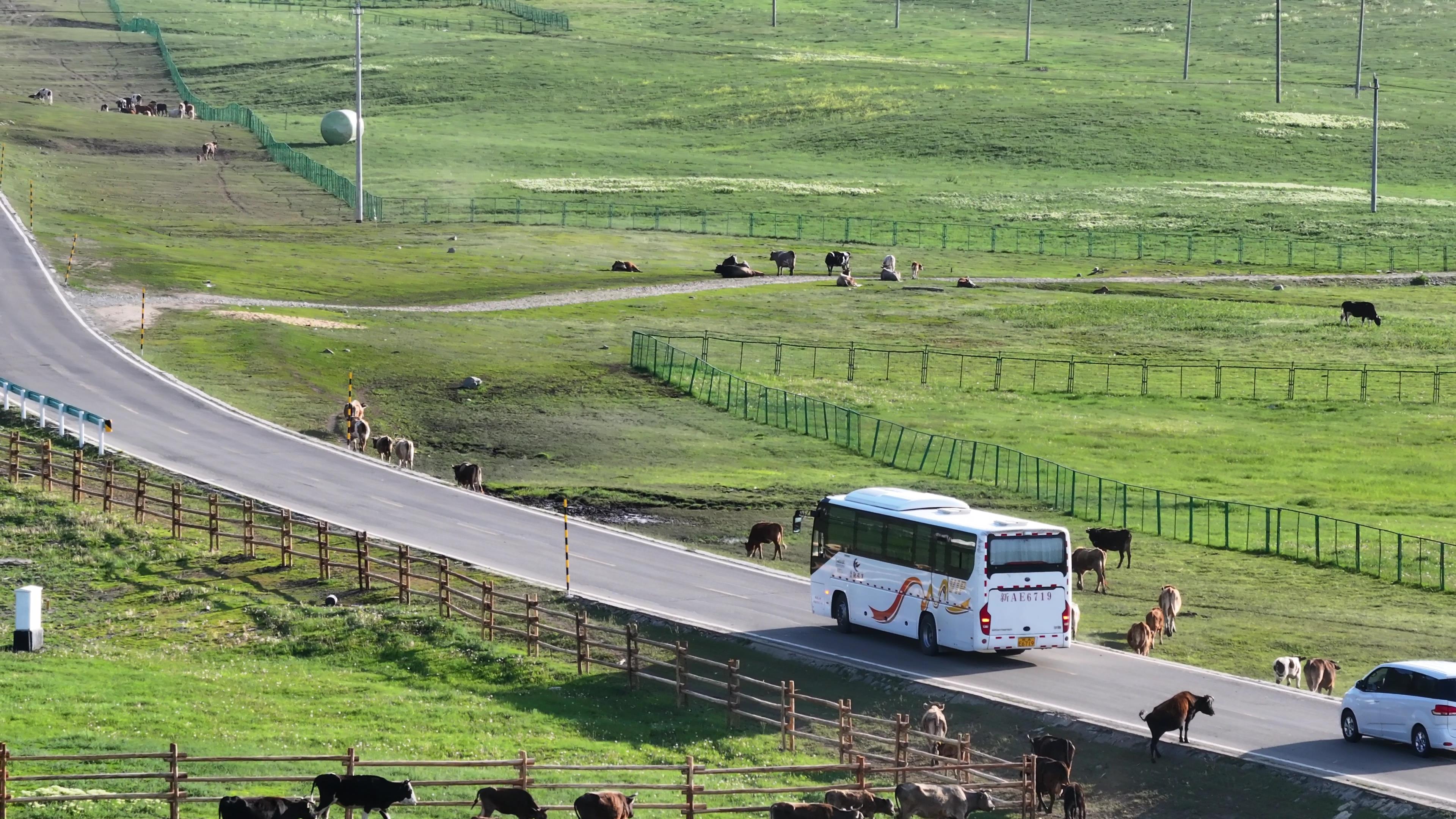 7月份去新疆旅游價格_7月份去新疆旅游價格多少