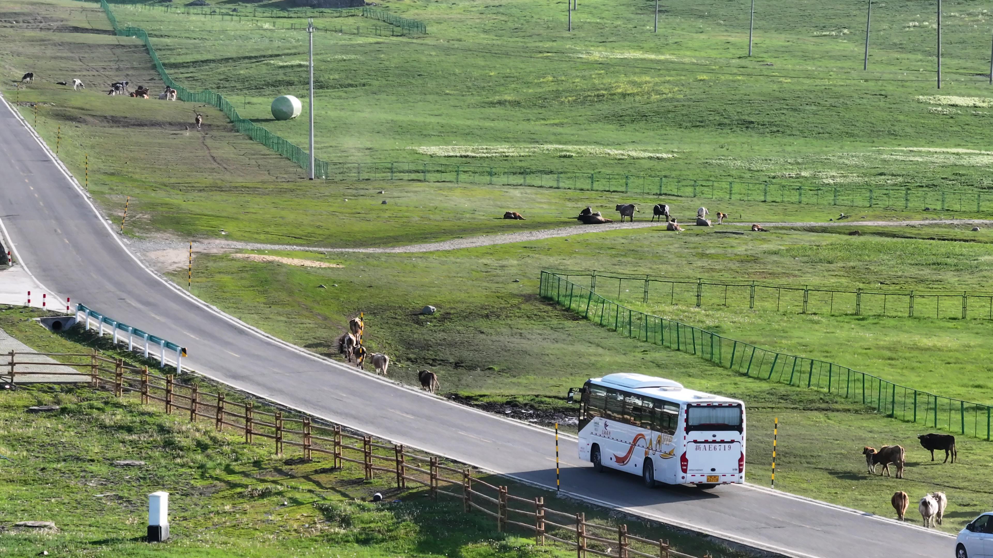 新疆包車五日游_新疆包車五日游多少錢