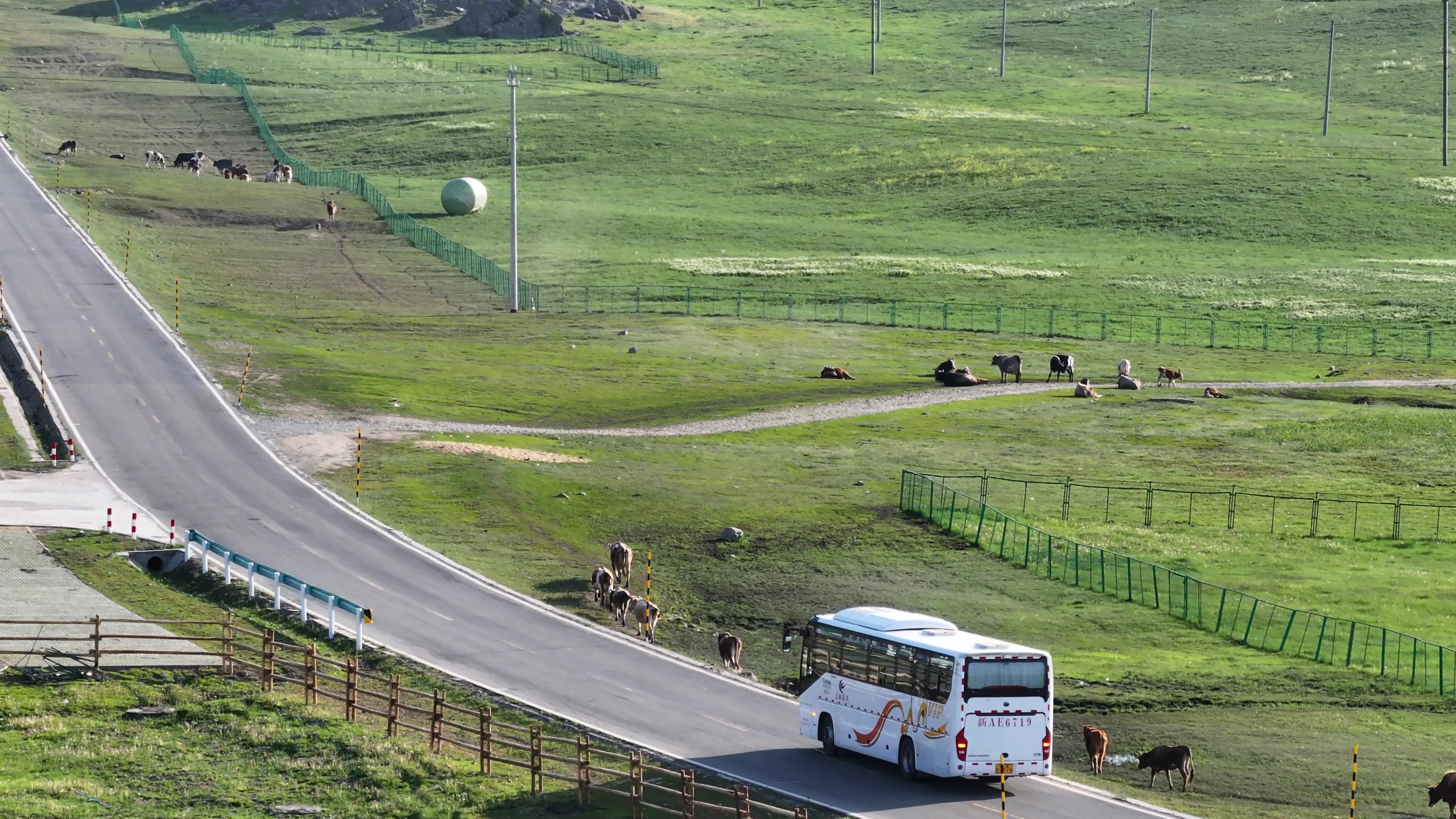 12月底新疆北疆旅游費用_新疆北部旅游要多少錢