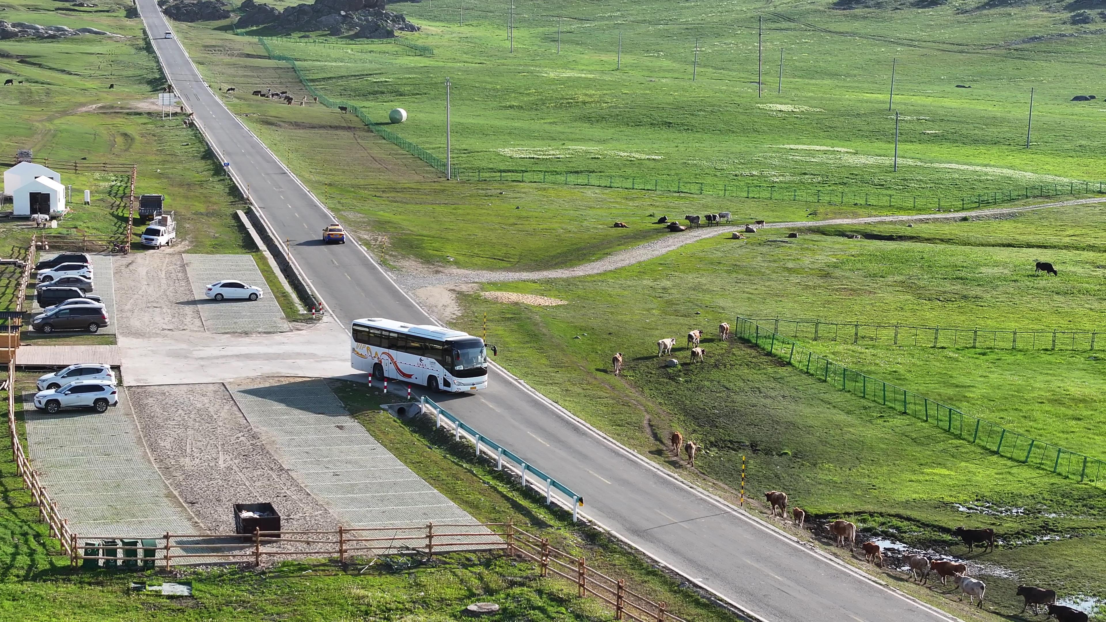 新疆攝影包車旅游多少錢