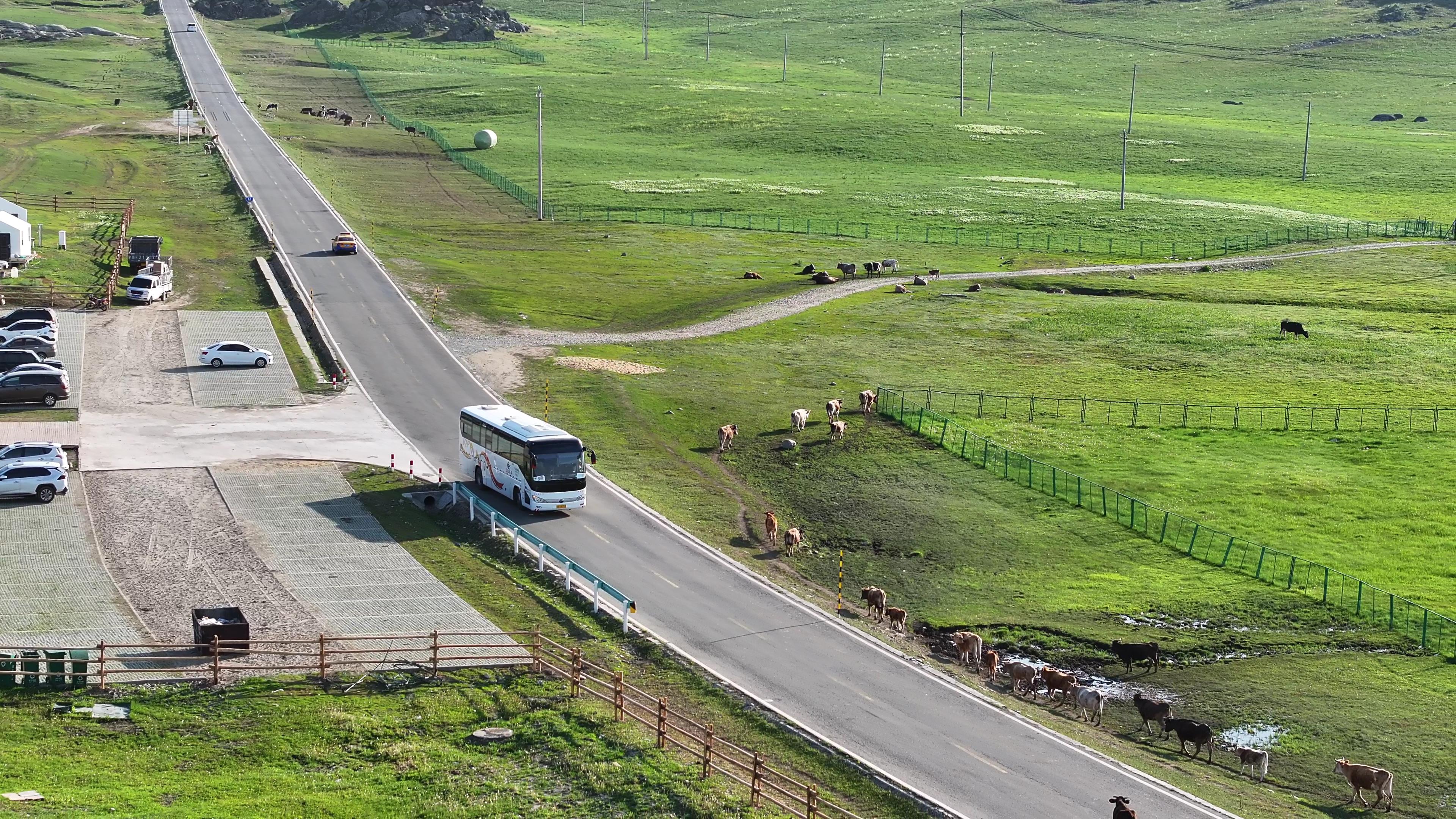 新疆旅游包車伊犁電話_新疆伊犁包車自由行攻略