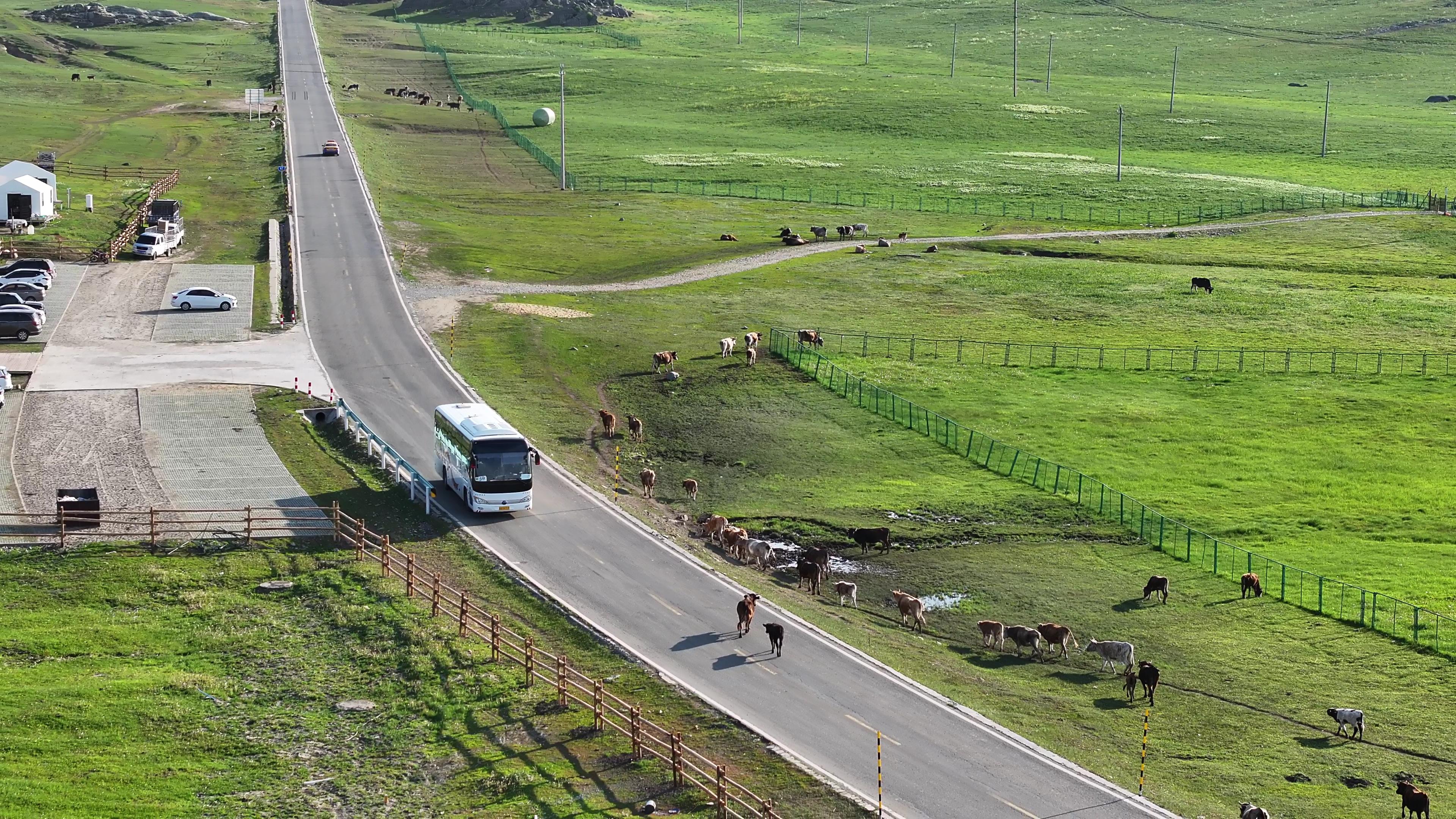 新疆旅游包車要身份證么_新疆旅游包車要身份證么嗎