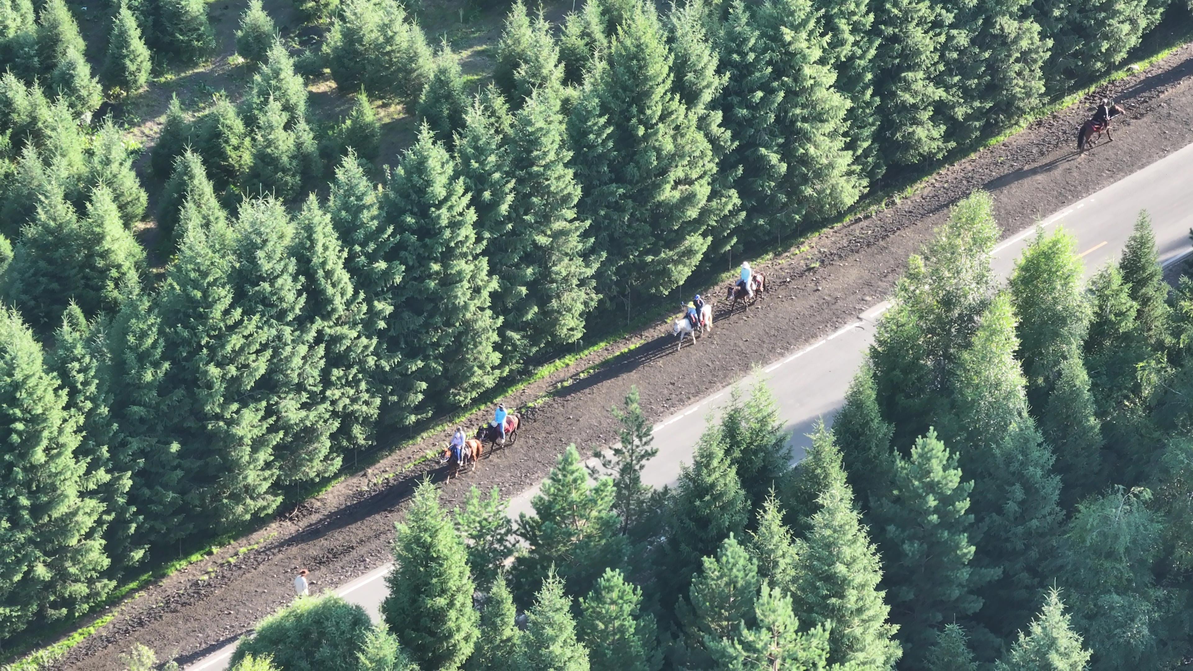 新疆旅游包車 天山國旅_新疆旅游包車 天山國旅多少錢