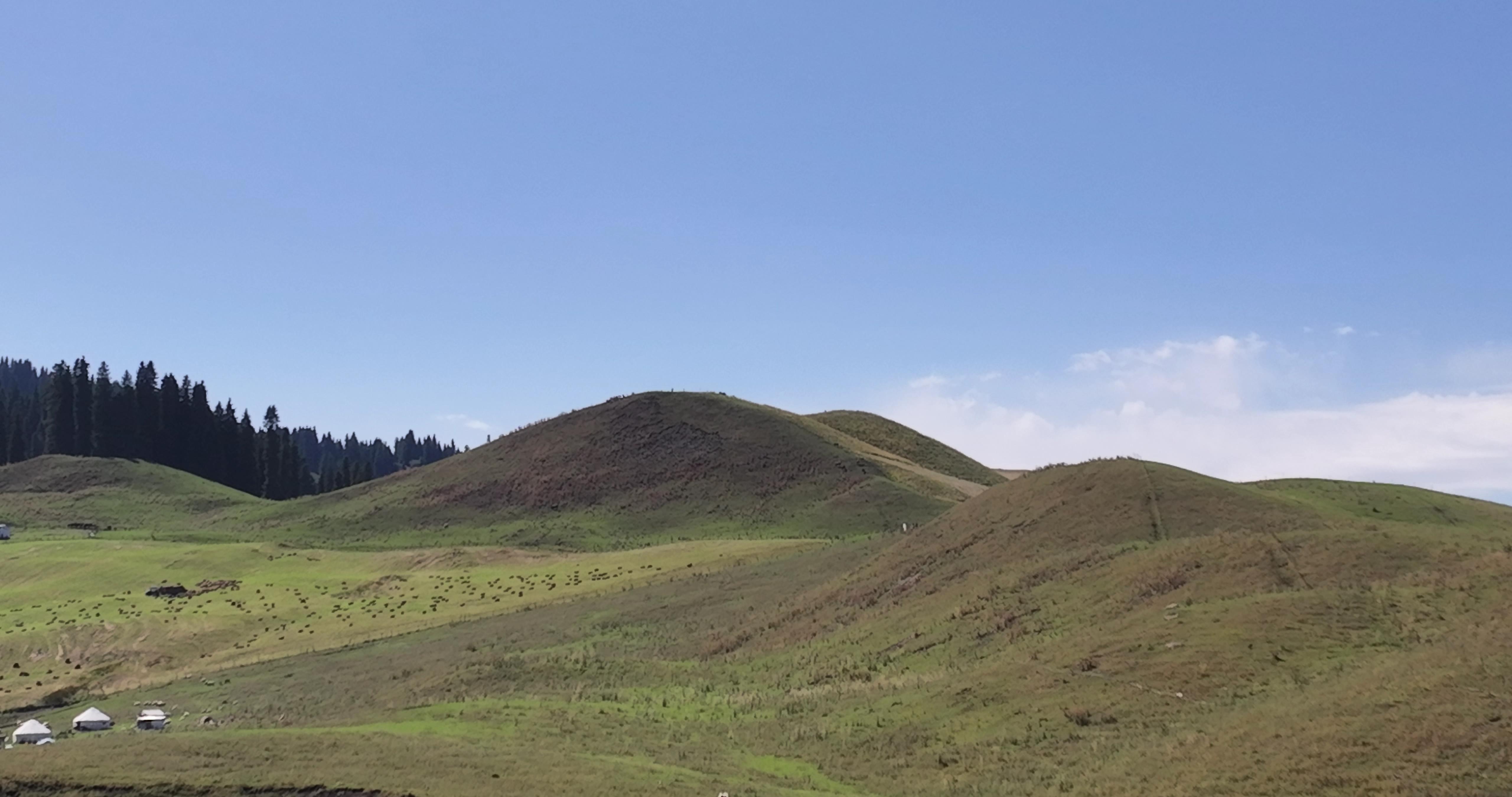 7月去新疆北疆旅游團價格