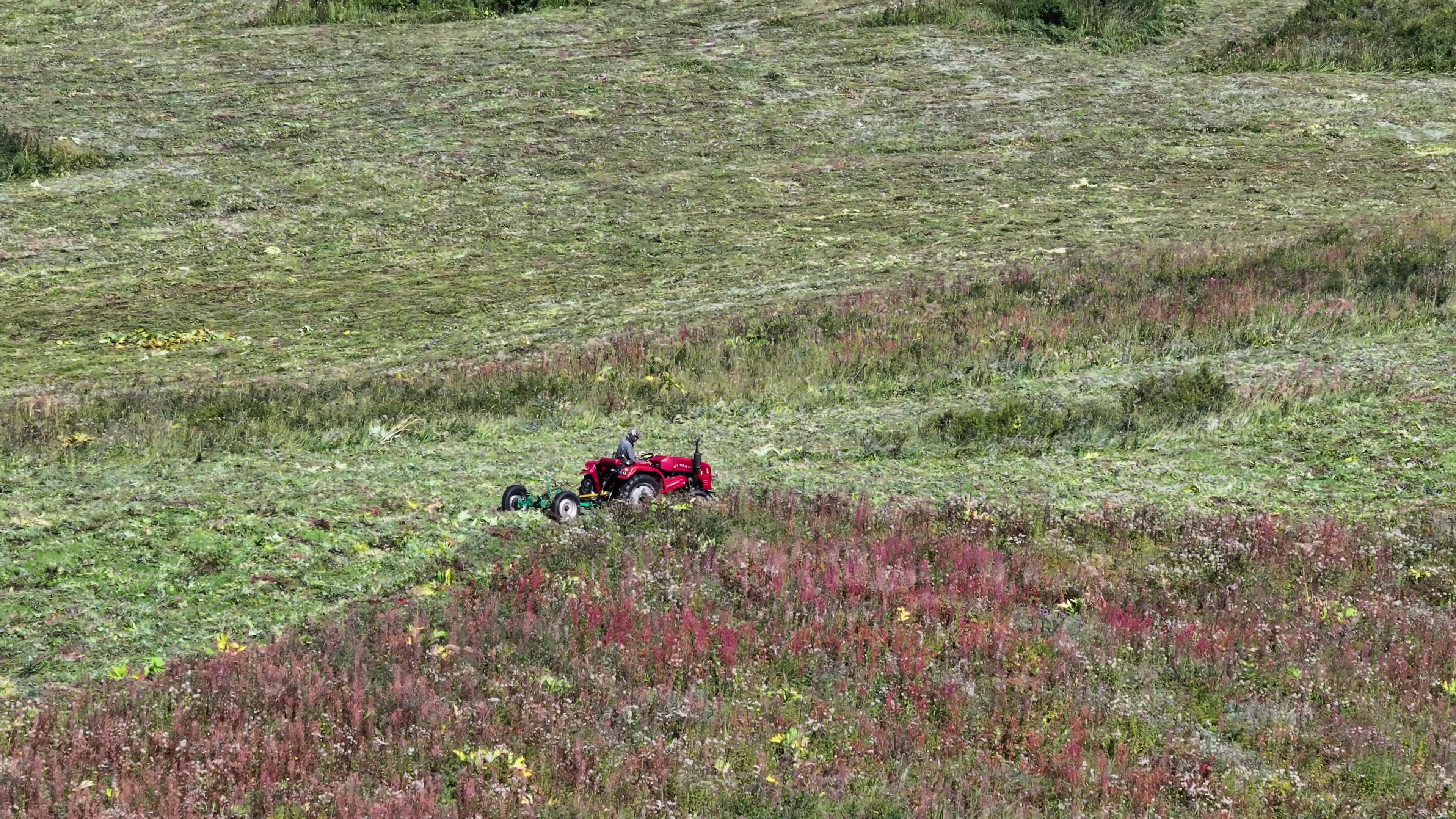 六月份新疆南疆旅游價格_新疆南部6月份旅游