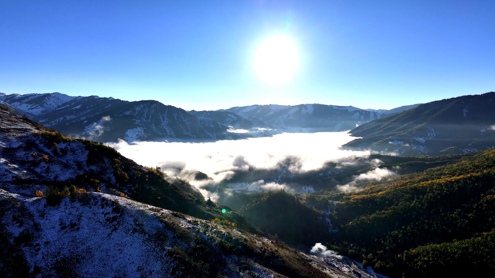 8月份新疆適合去哪里旅游_8月份新疆適合去哪里旅游呢