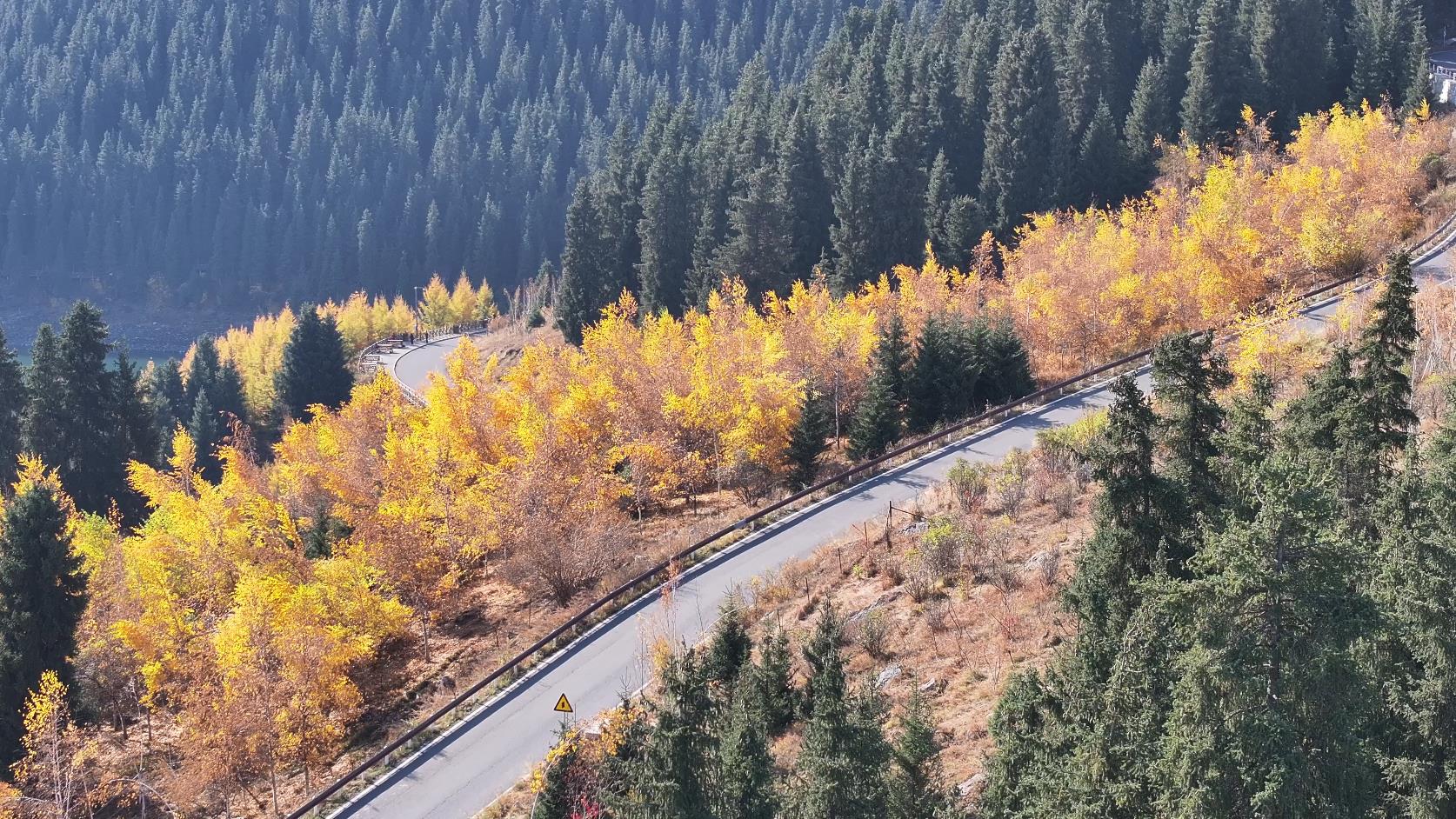 新疆旅游庫爾勒包車_新疆旅游庫爾勒包車多少錢