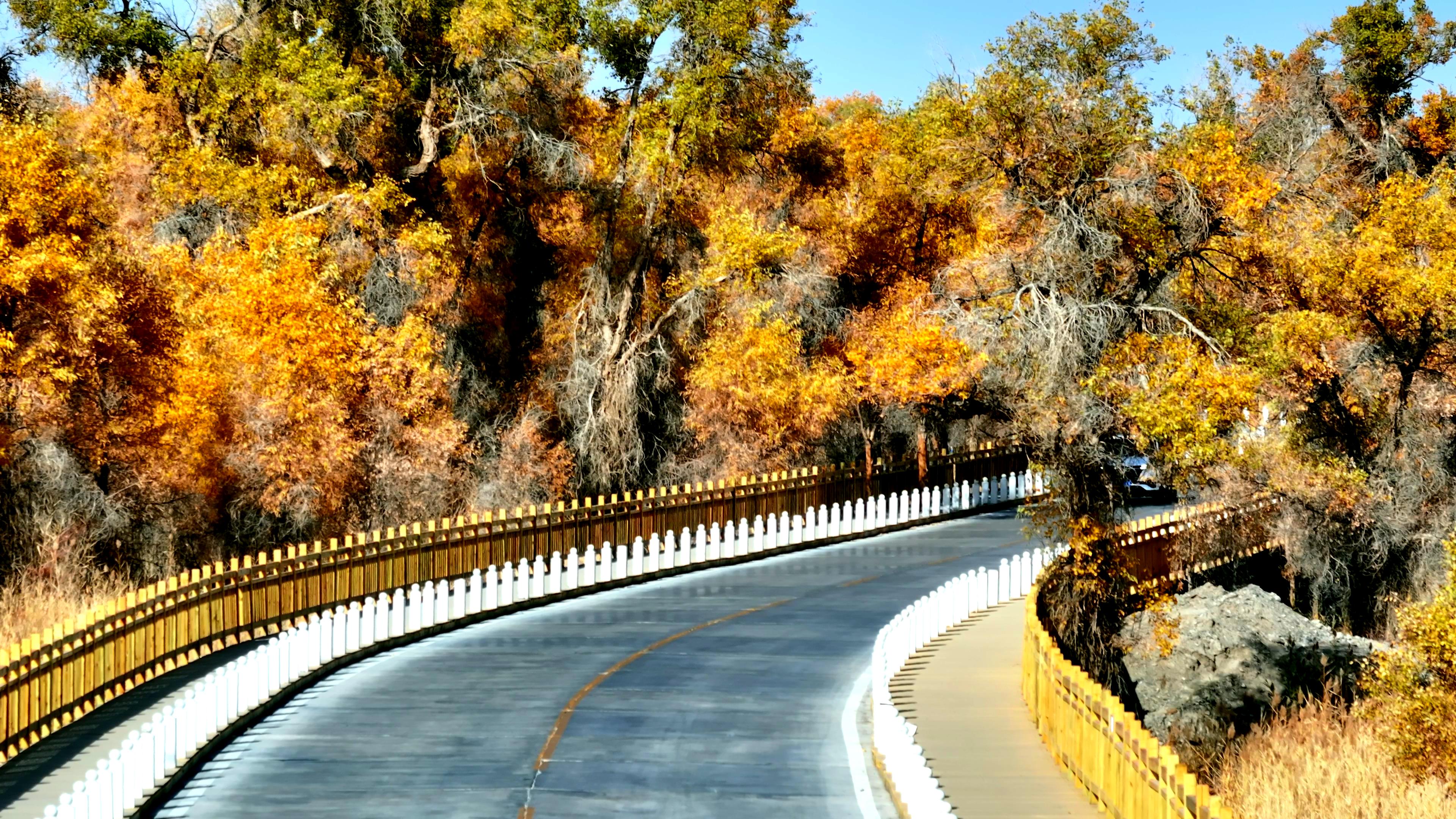 包車組團旅游新疆價格_新疆包車旅游多少錢