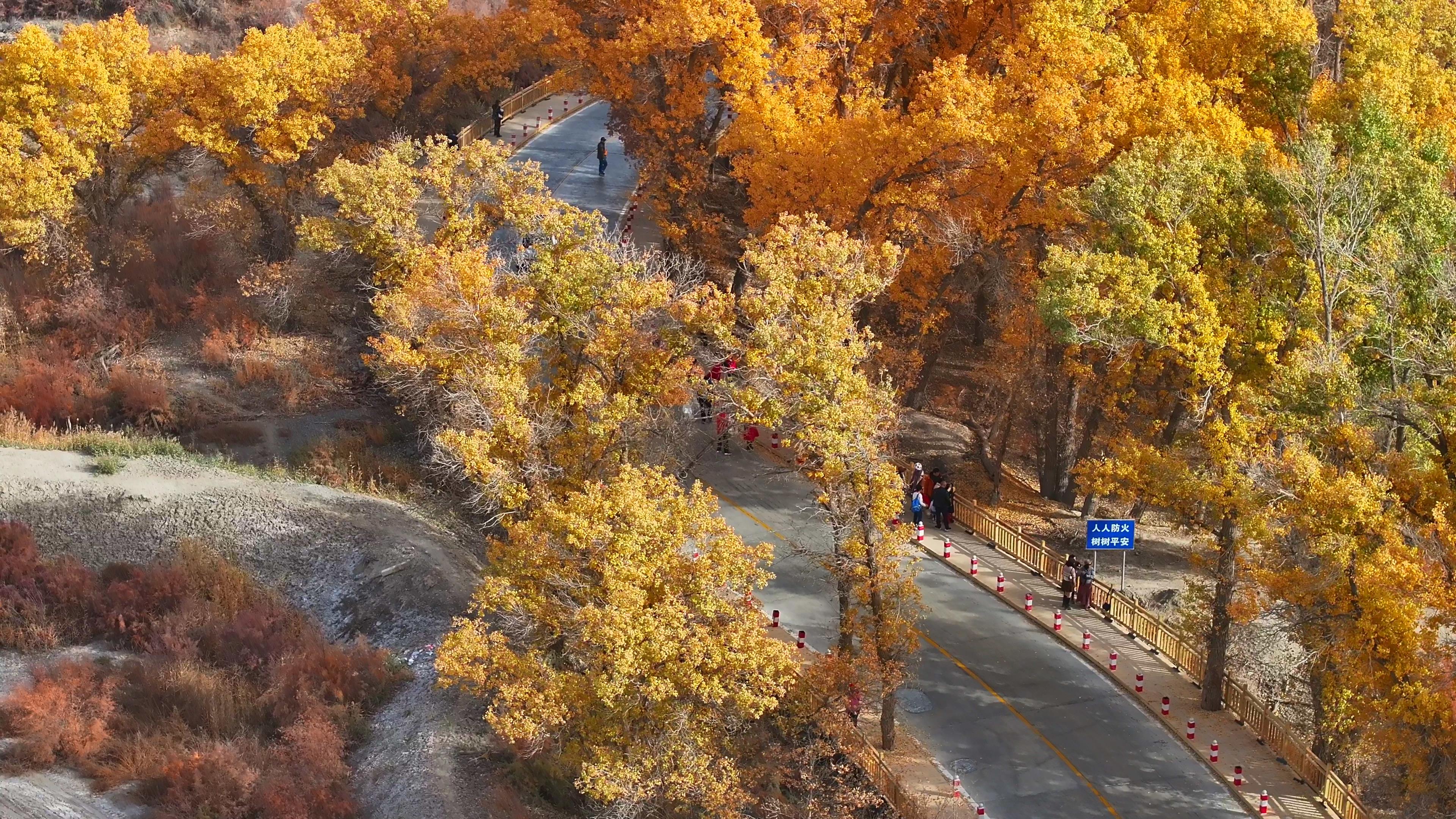 10月去新疆南疆旅游價格_新疆游玩攻略10月