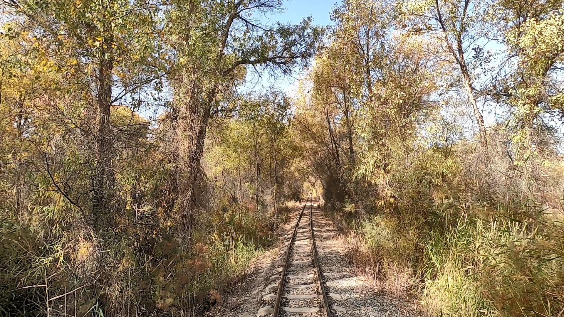 新疆特種旅游線路包車_新疆特種旅游線路包車多少錢