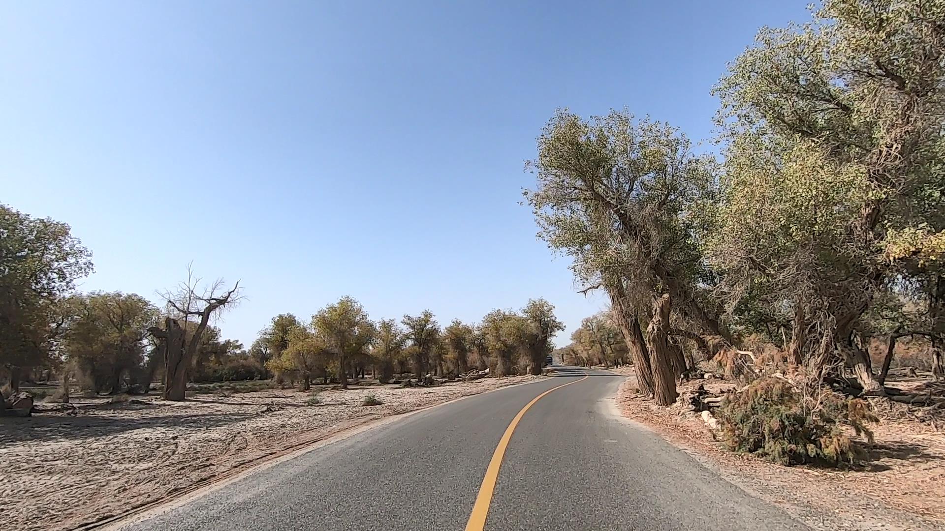 新疆旅游當地包車_新疆旅游當地包車平臺哪個好