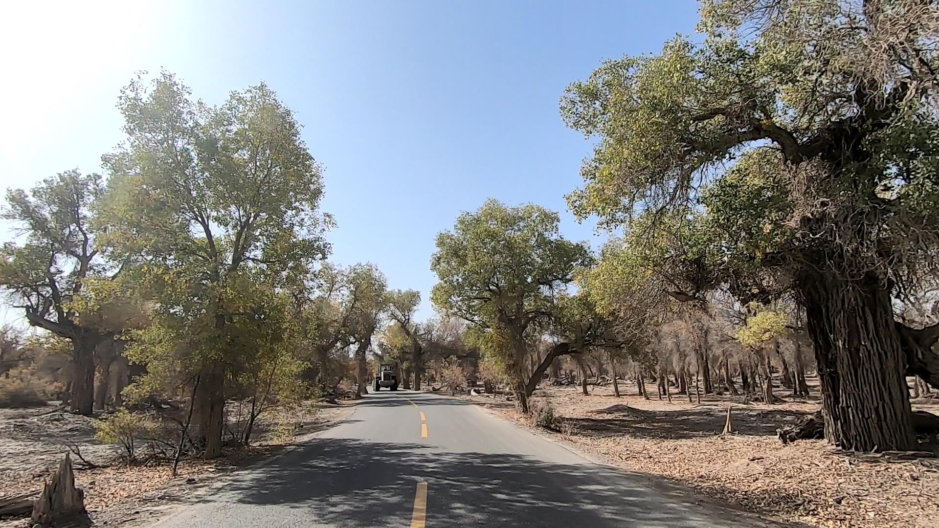 新疆旅游跟團十四天游多少錢