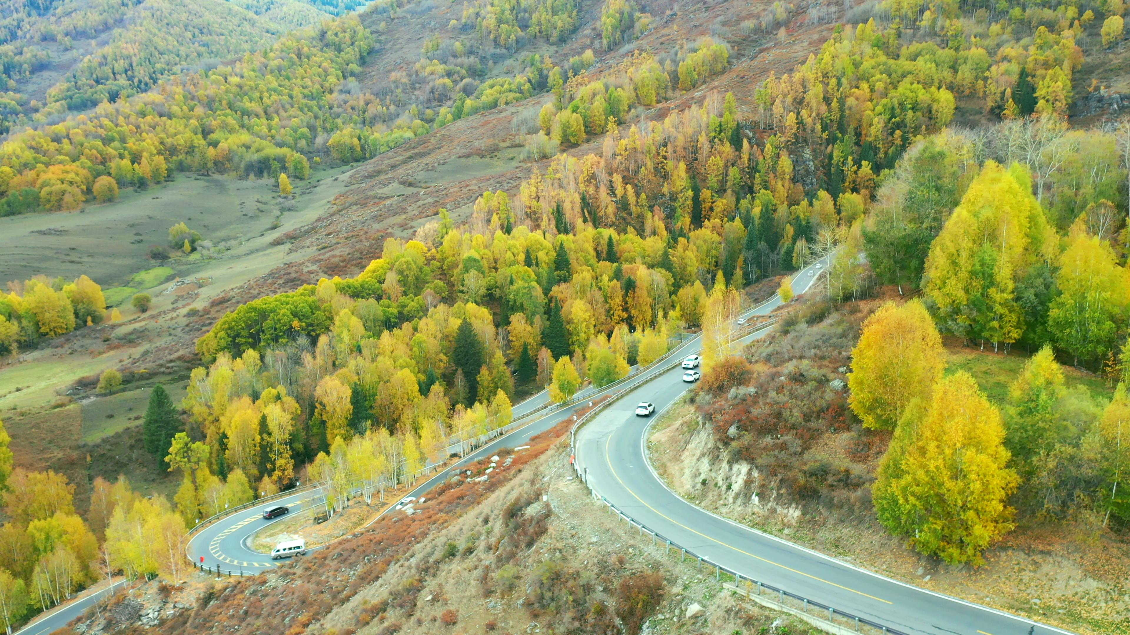 北屯出發到喀納斯旅游包車多少錢_北屯出發到喀納斯旅游包車多少錢啊