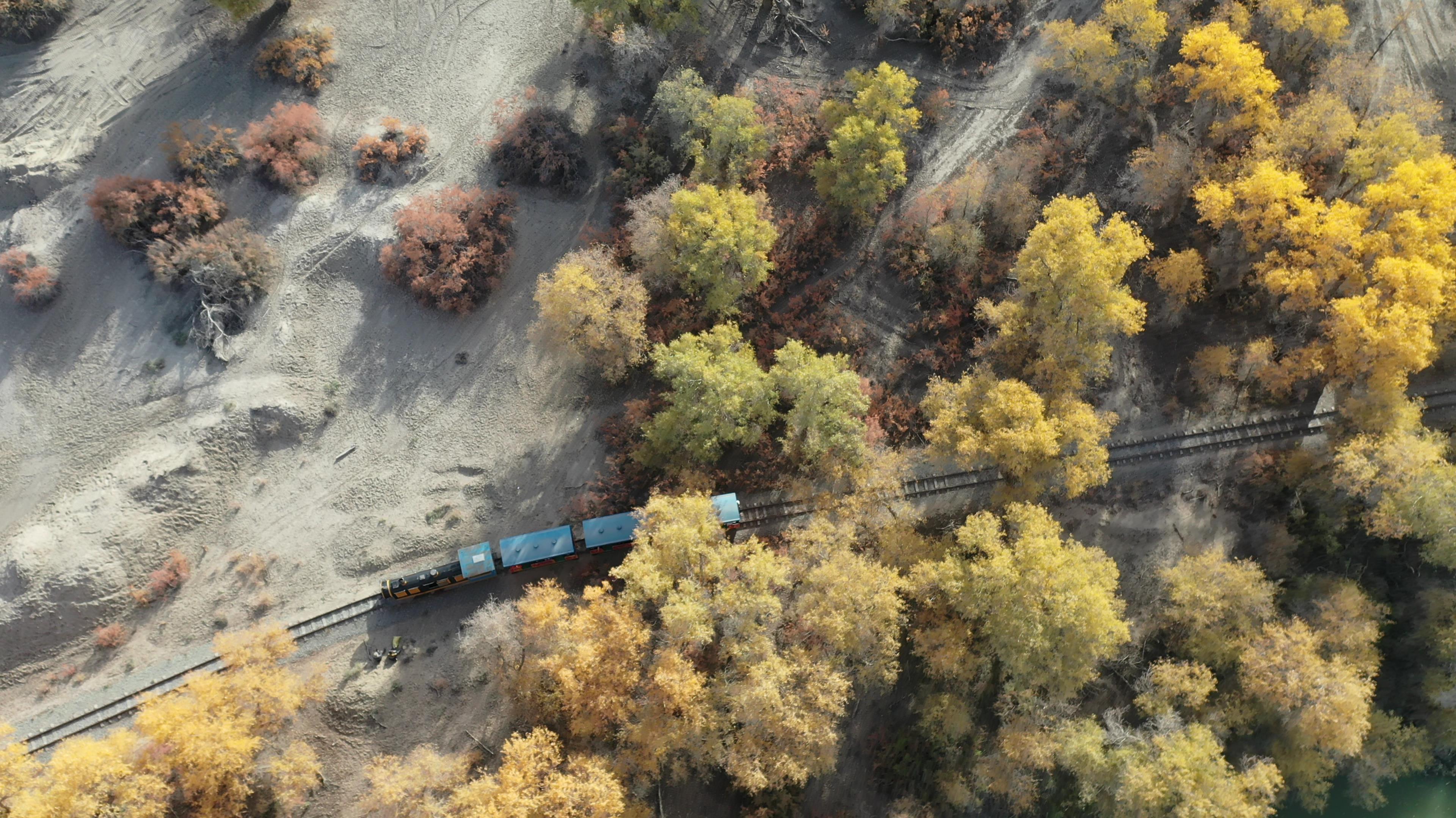 新疆旅游包車論壇_新疆旅游包車論壇官網