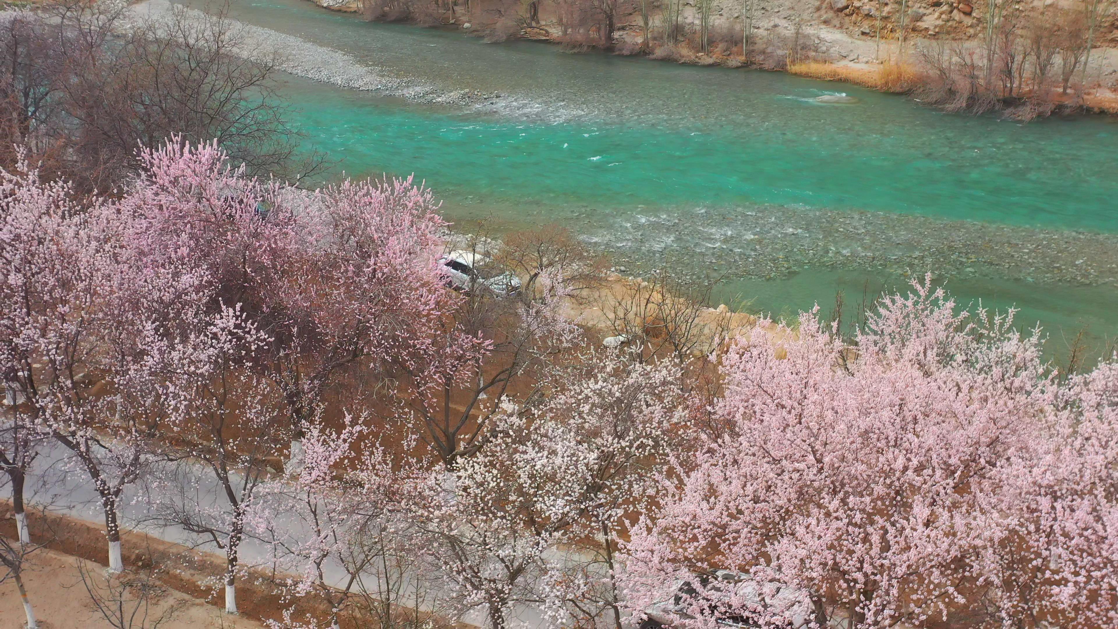 去新疆旅游是包車好還是參團_去新疆旅游是包車好還是參團好