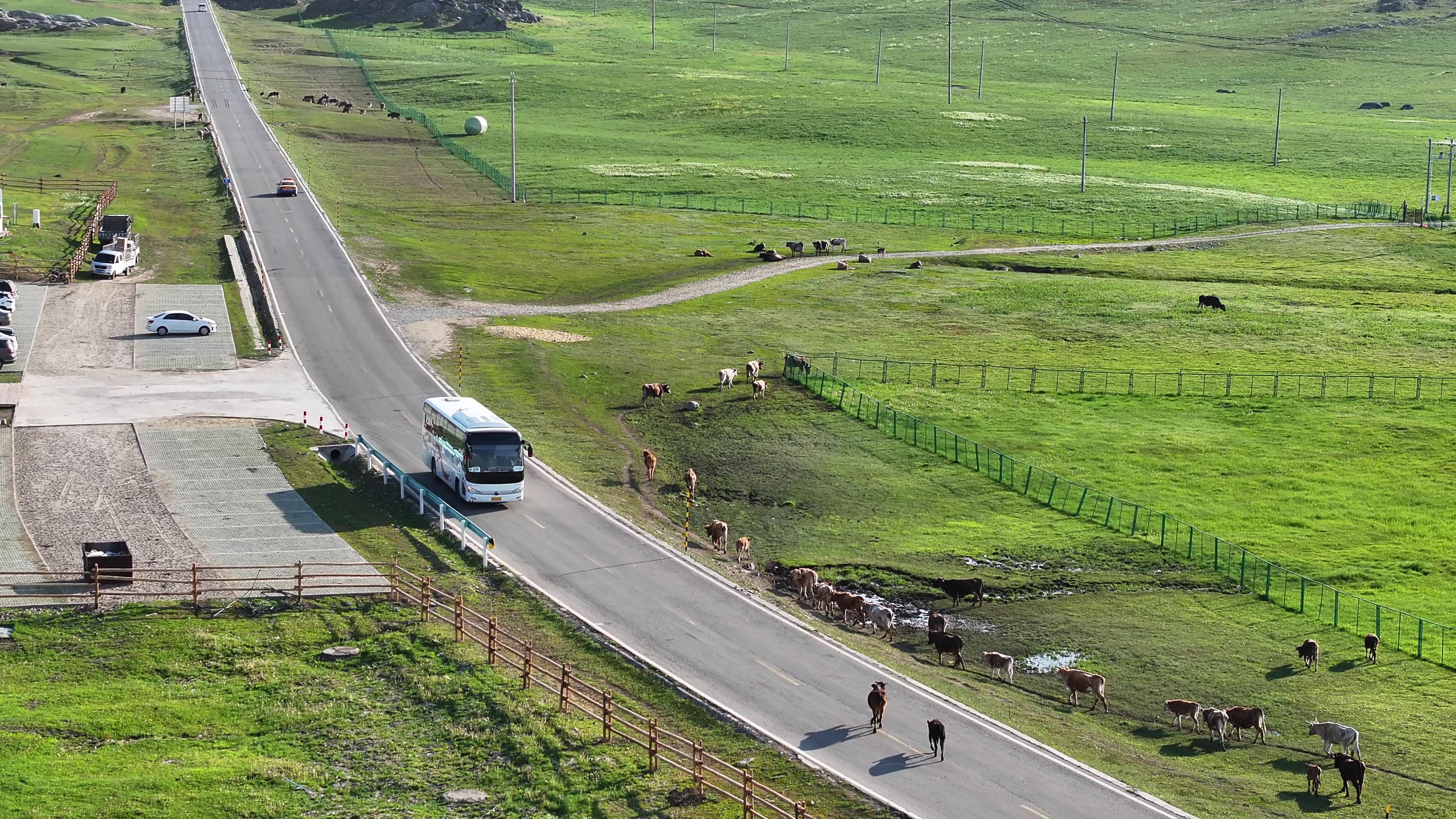 新疆本地的包車旅游公司_新疆本地的包車旅游公司有哪些