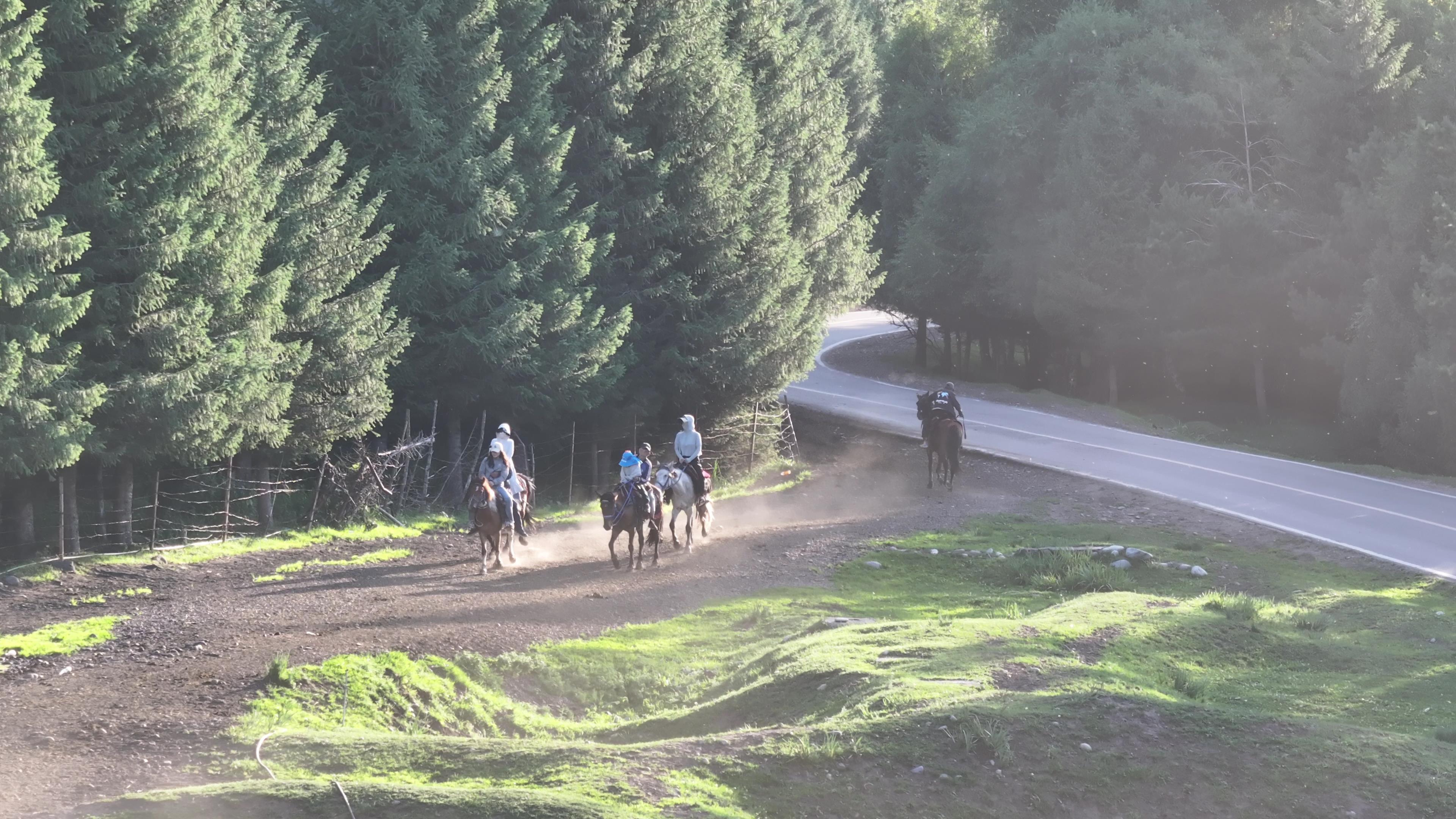 新疆中國旅行社包車游_新疆中國旅行社怎么樣