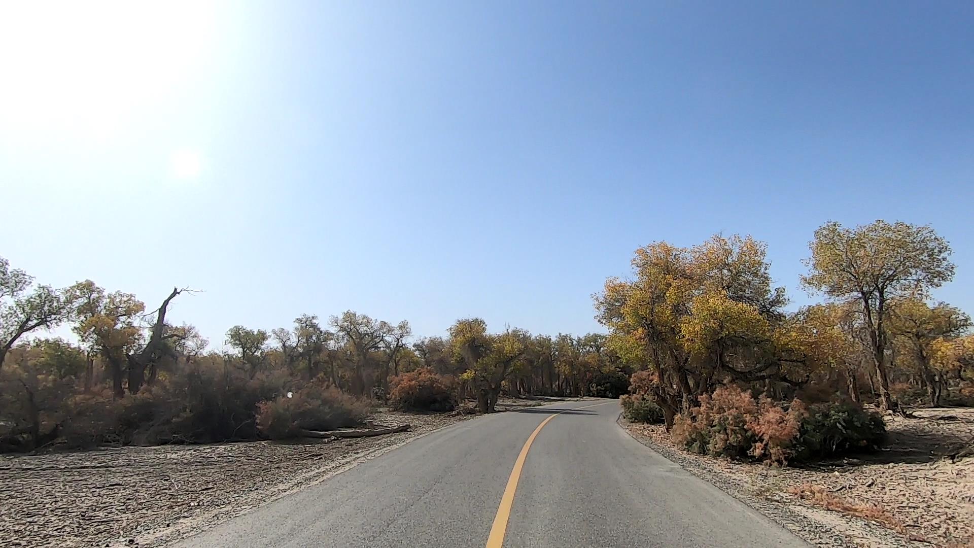 新疆旅游包車好貴_新疆旅游包車好貴啊