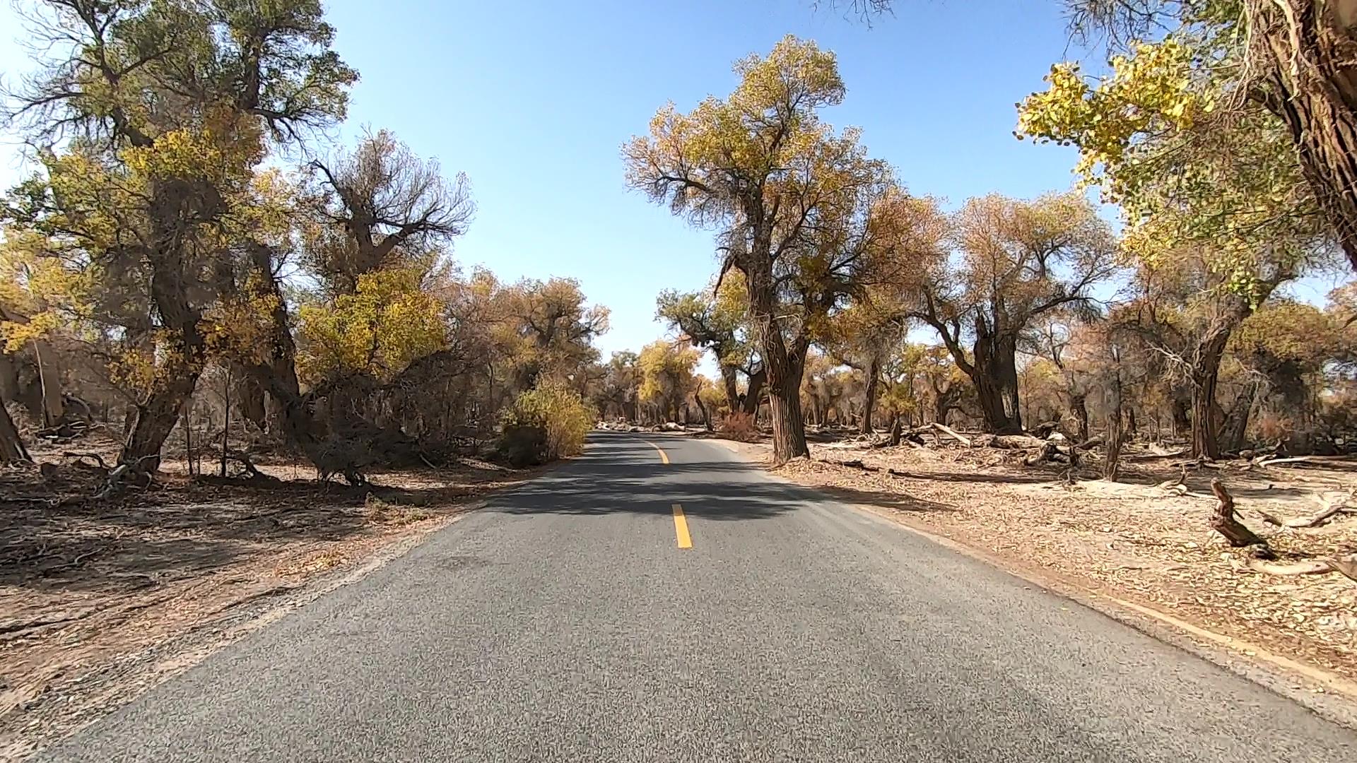 吐魯番旅游包車_吐魯番旅游包車價格